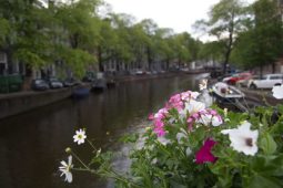 Амстердам, весна 2019