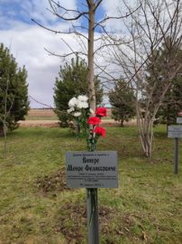 Дерево в память об отце Юли - Меире Винере